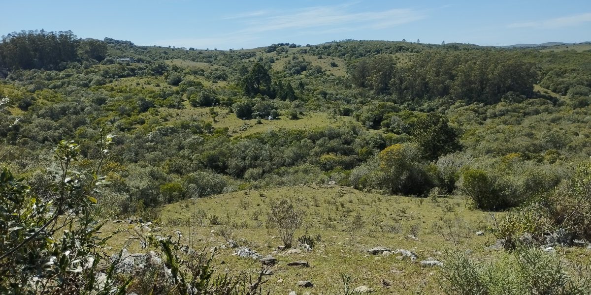1792536749533_resize